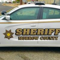 MCSO Car
