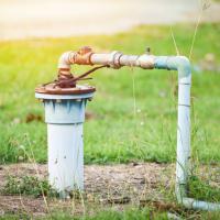 Wellhead