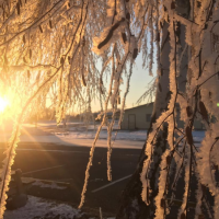 Winter