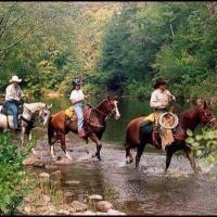 Horseback Riding in Morrow County