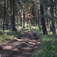 Morrow-Grant County OHV Park Trail