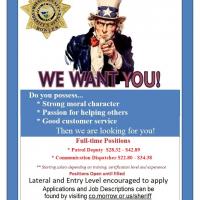 MCSO Job announcement