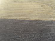 Field