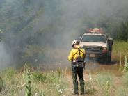 Morrow County Area Forestry Service