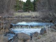 Anson Wright Park Rock Creek