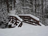 Cutsforth Park Snow Covered Bridge