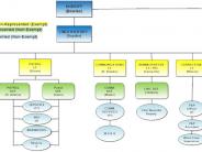 MCSO Chart