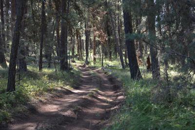 Morrow-Grant County OHV Park Trail