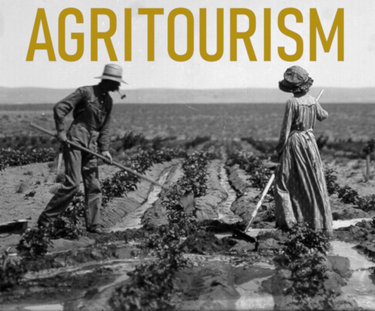 Agritourism