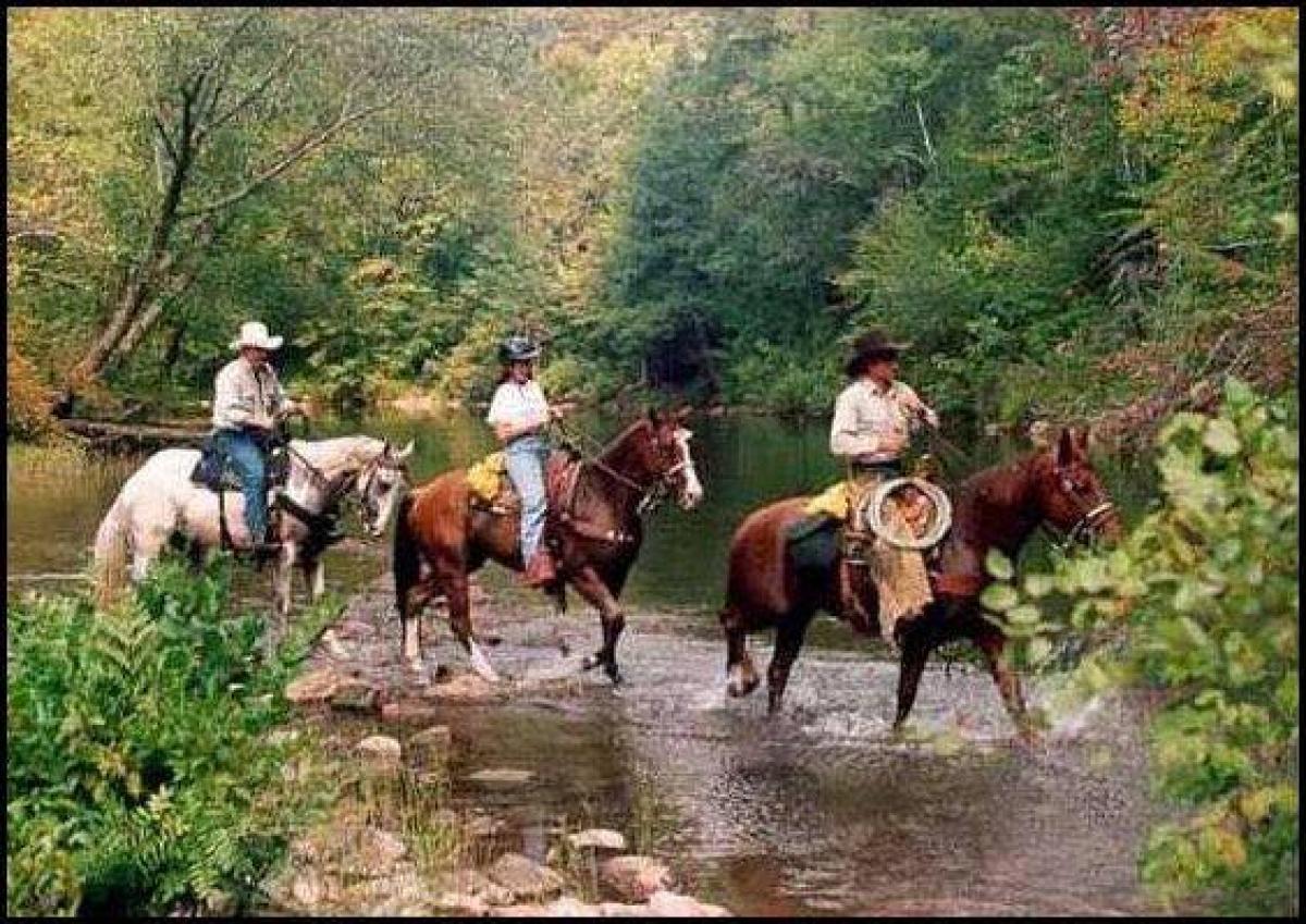 Horseback Riding in Morrow County