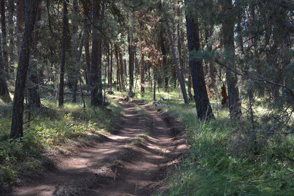 Morrow county ohv weather